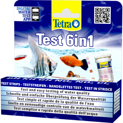 테트라 테스트 test 6in1