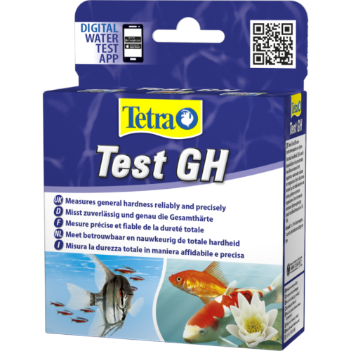테트라 테스트 test GH
